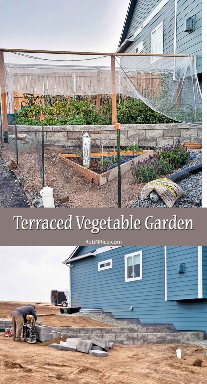 Terraced Vegetable Garden - Roti n Rice