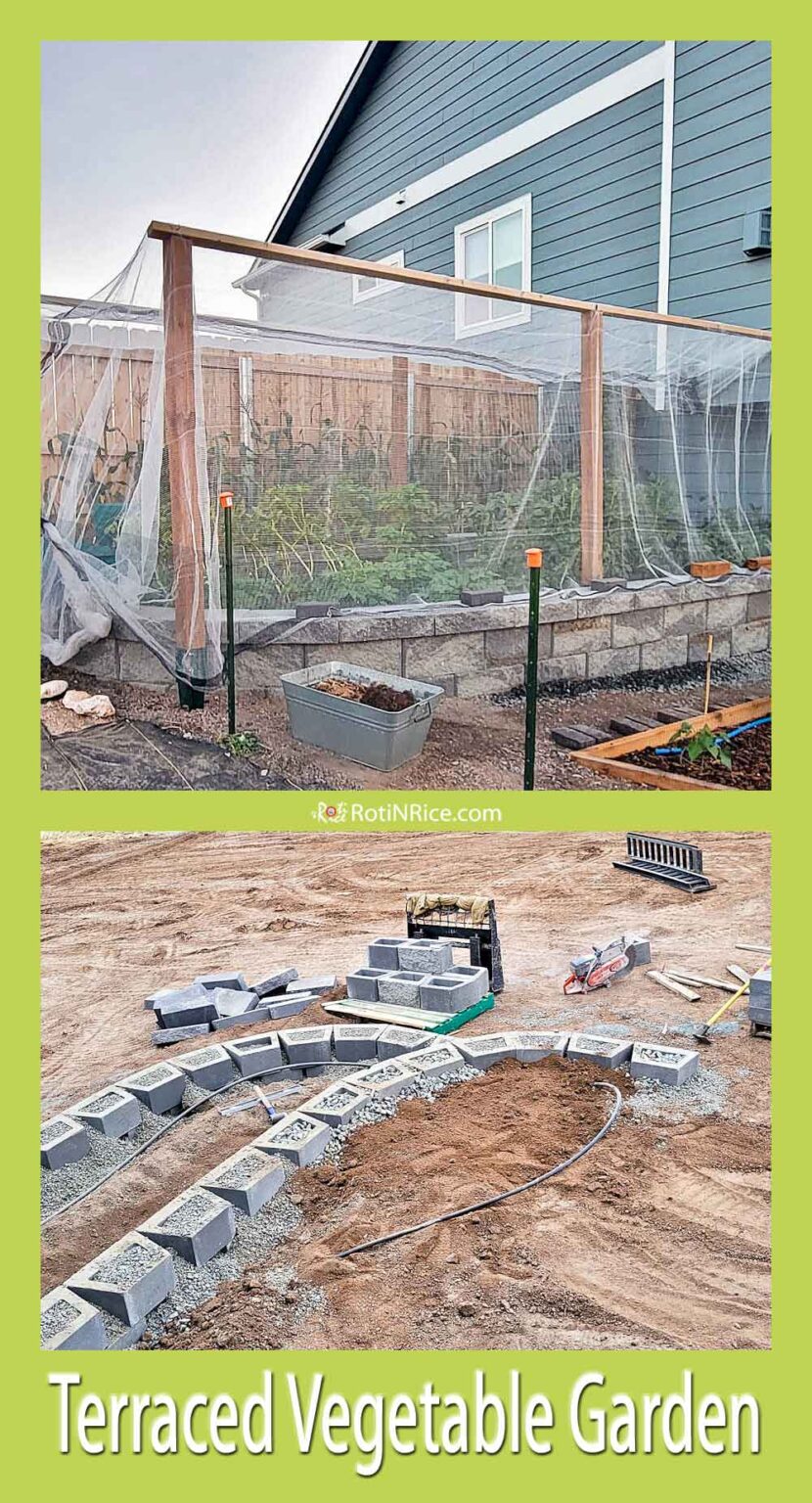 Terraced Vegetable Garden - Roti n Rice