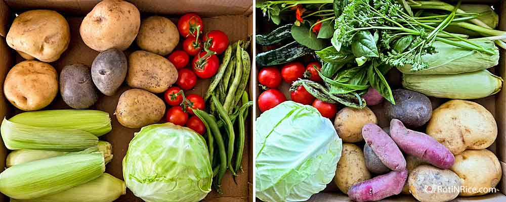 Vegetables in boxes gifted to friends and neighbors.