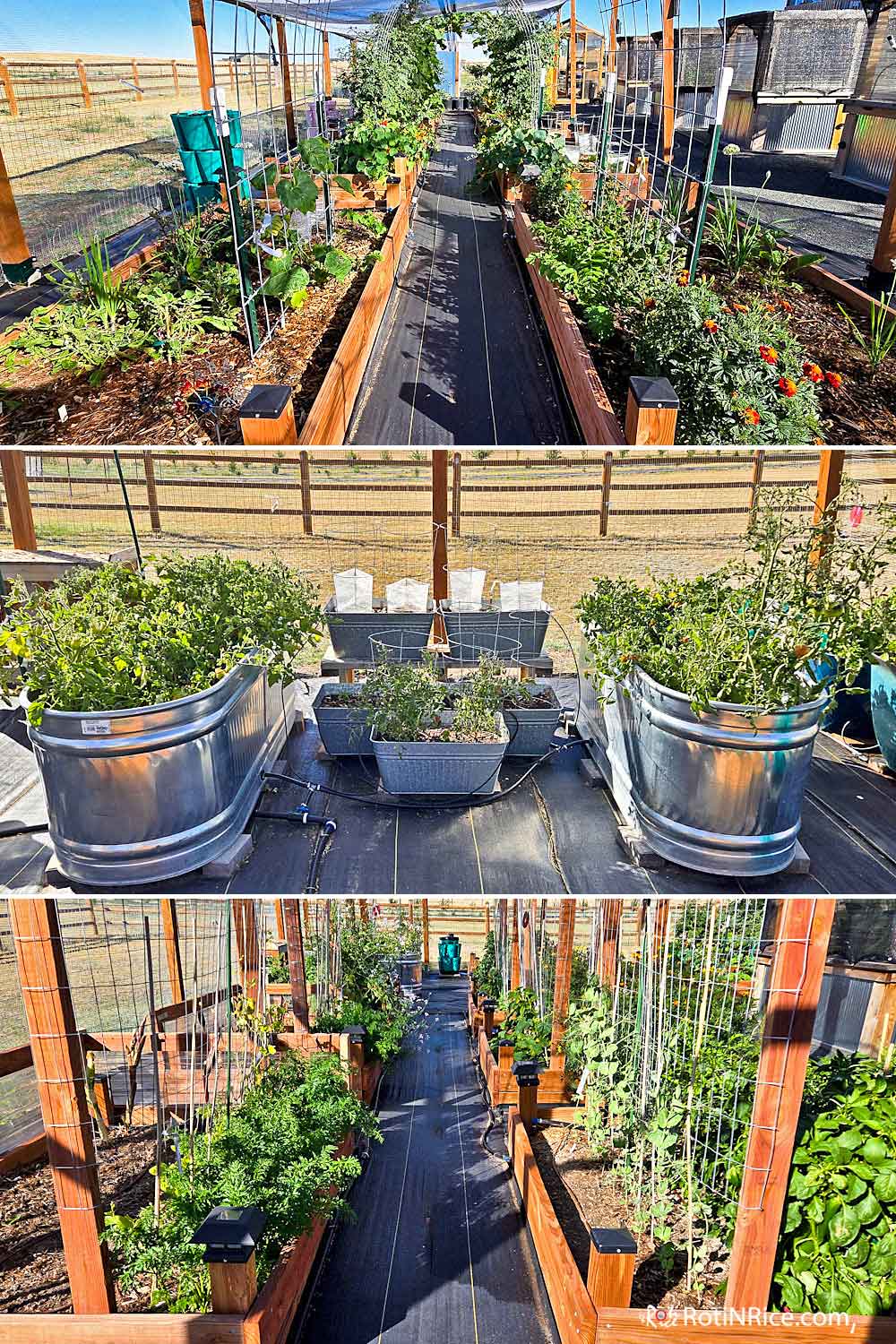 Different sections of our Raised Bed Garden.