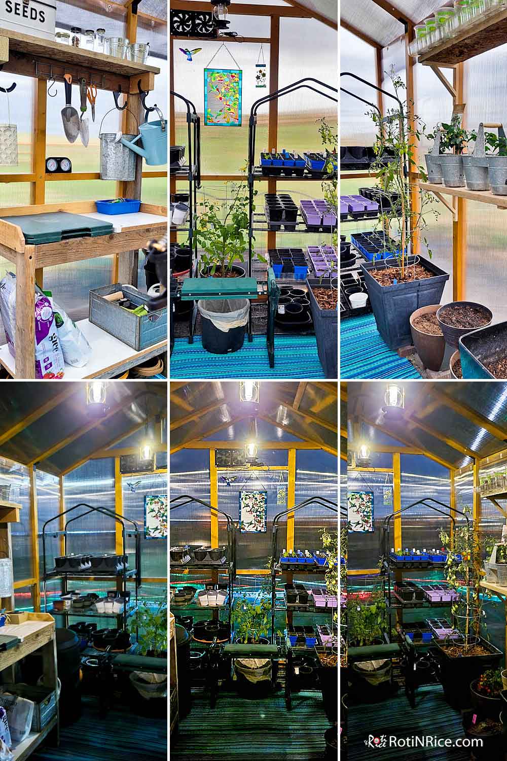 The decorated inside of the Stand-Alone Greenhouse.
