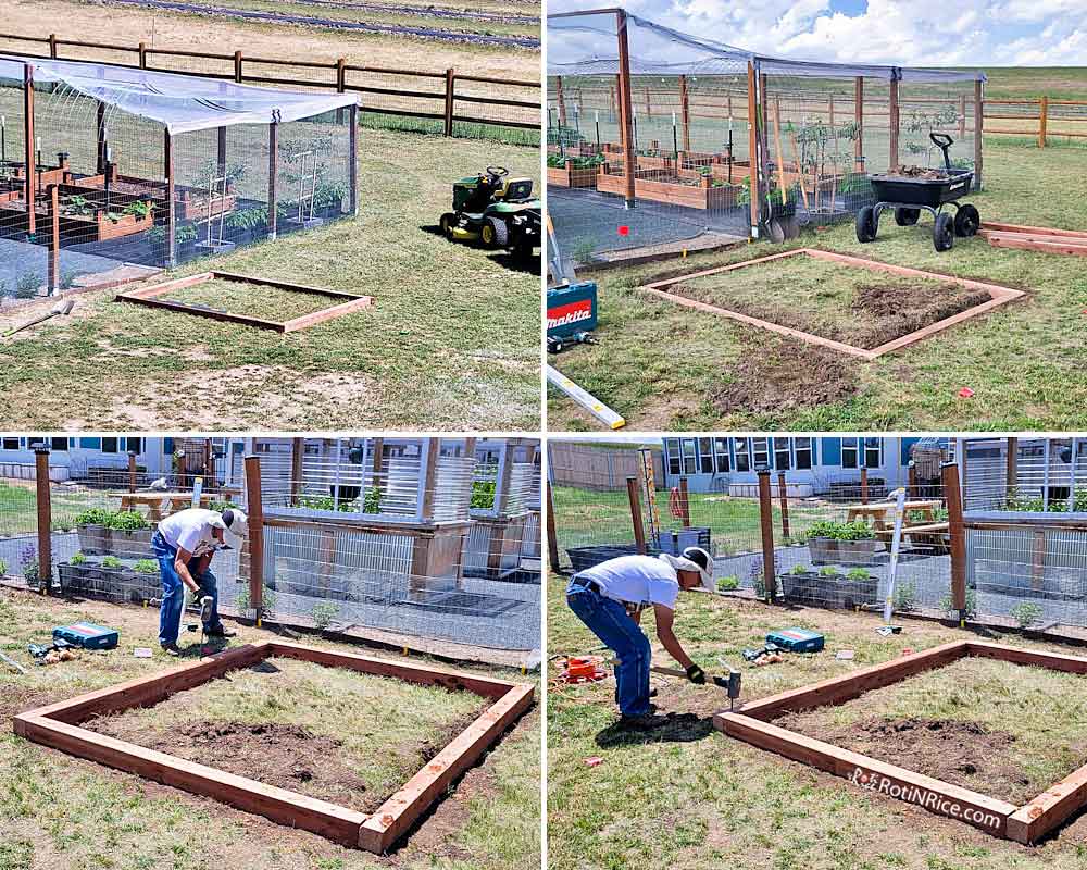 Creating the base for the greenhouse using 4"x4" lumber buried in the ground.