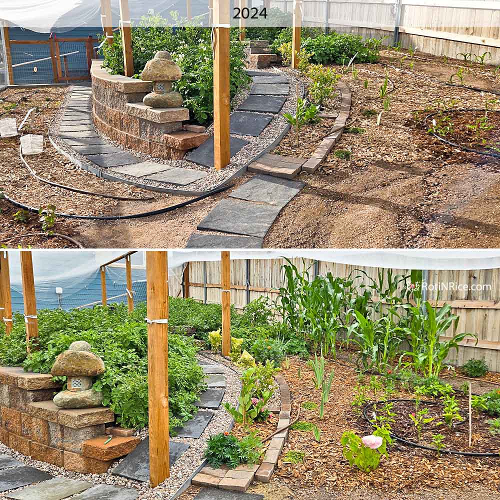 View of the West Terraced Garden in the summer of 2024.