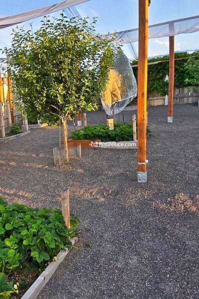 Breeze Garden Pathways using breeze (crushed granite)