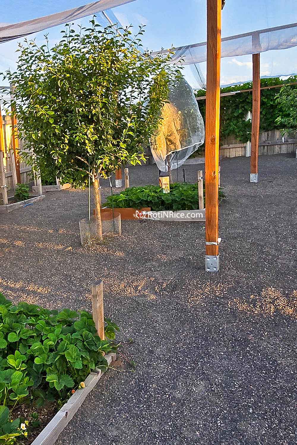 Breeze Garden Pathways using breeze (crushed granite)