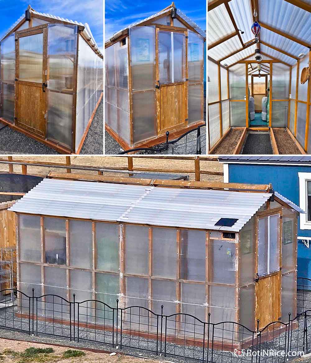Restored Stand-Alone Greenhouse with larger and thicker polycarbonate sheets.