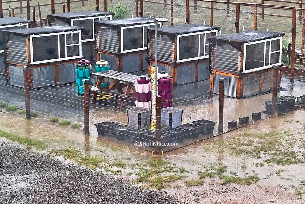 Flooded Raised Bed Garden